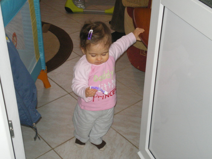 P300110 006