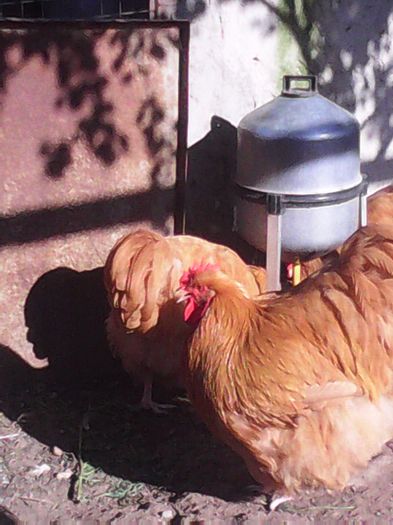 CameraZOOM-20150809174437603