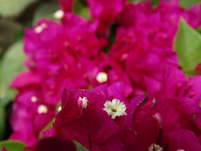 DSC03410