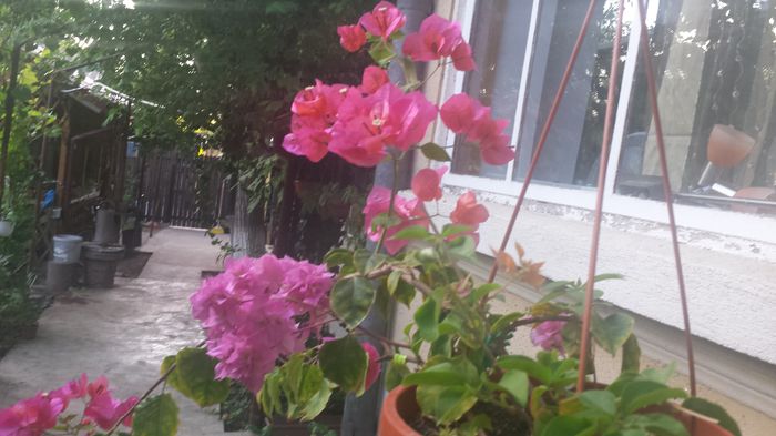 20150809_194621