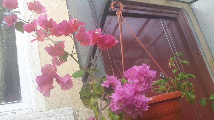 20150809_194546 - Buga