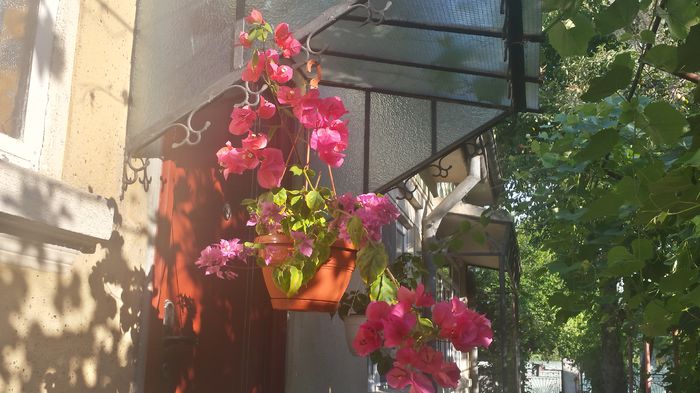 20150809_182202_Richtone(HDR)
