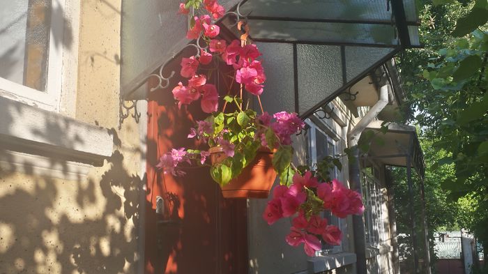 20150809_182211_Richtone(HDR)