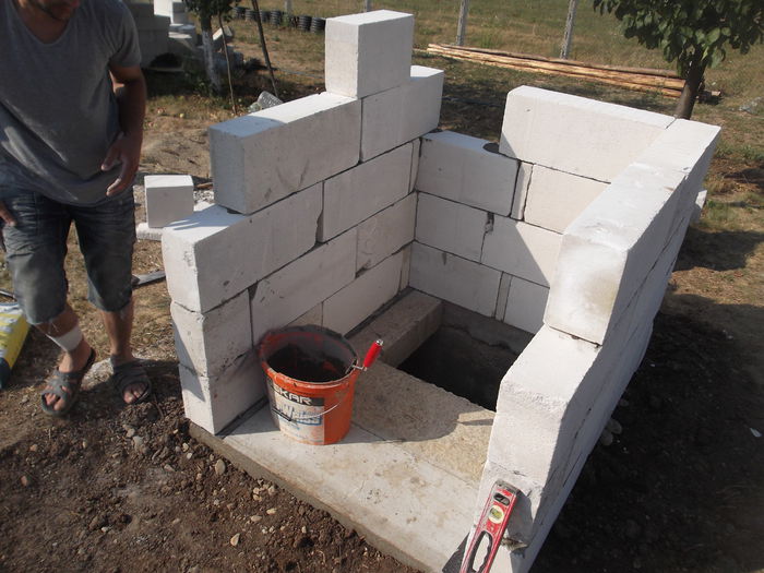 DSCF6495 - Prima constructie la livada WC