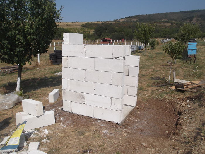 DSCF6497 - Prima constructie la livada WC