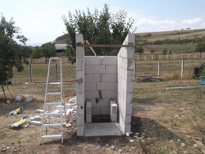 DSCF6505 - Prima constructie la livada WC