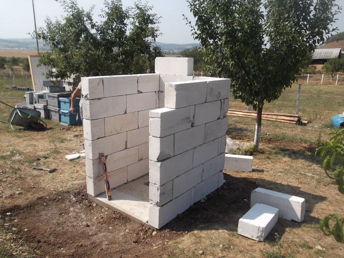 DSCF6498 - Prima constructie la livada WC