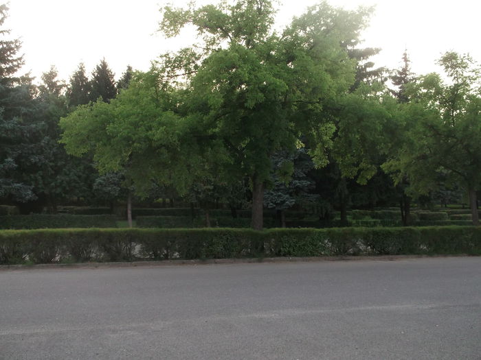 Picture 7127