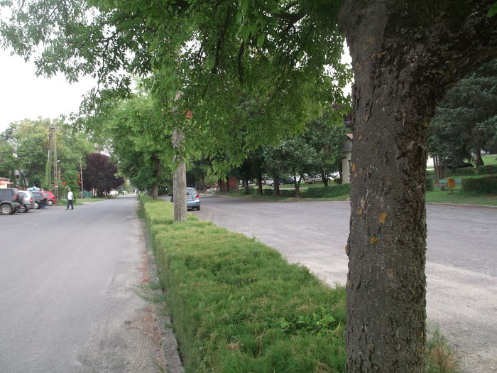 Picture 7129