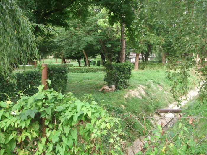 Picture 7132