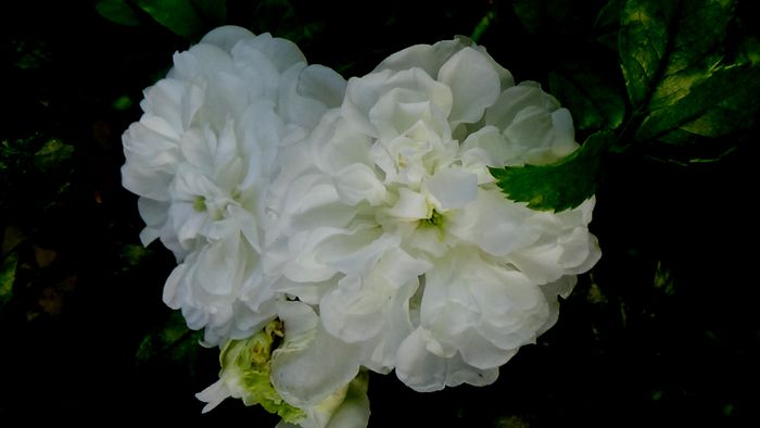 Azi, 10 august
