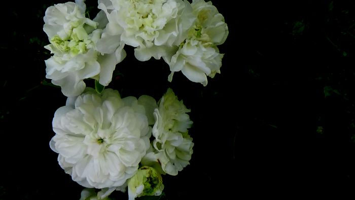 Azi, 10 august
