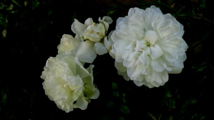 Azi, 10 august