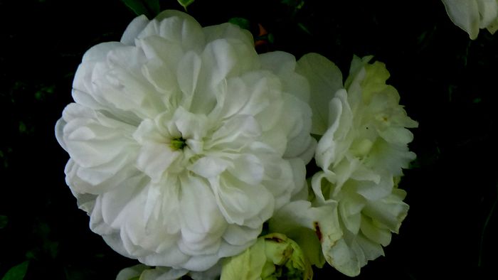 Azi, 10 august