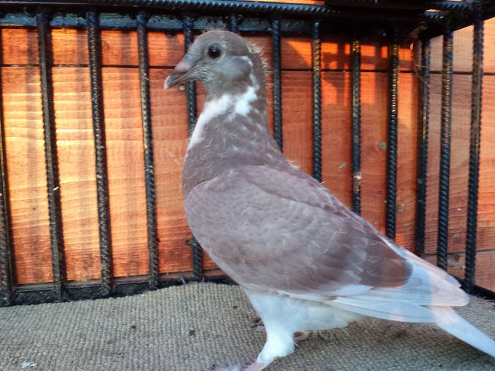 20140616_211644 - E-Amintiri