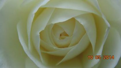 10255928_787463704627299_2876576140619426988_n