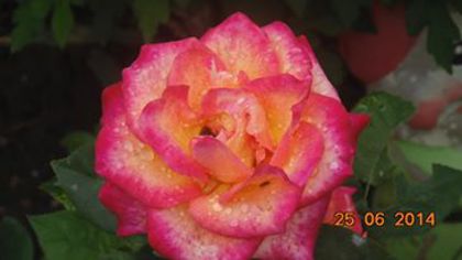 10371457_815932105113792_5661086960915945094_n