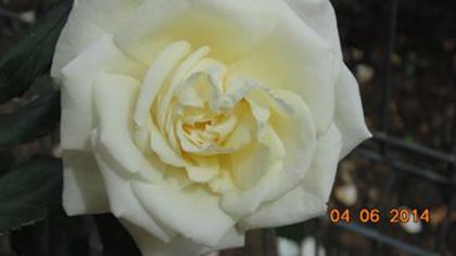 10429377_803697146337288_4334618204112045245_n