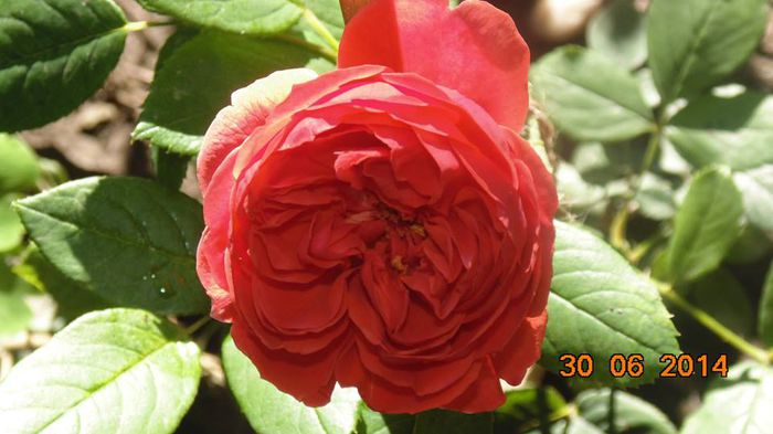 10443358_818907201482949_3296155463914774319_n