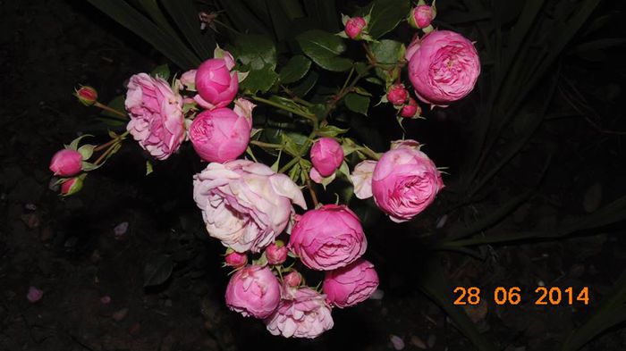 10450434_818022151571454_8391627790372300260_n