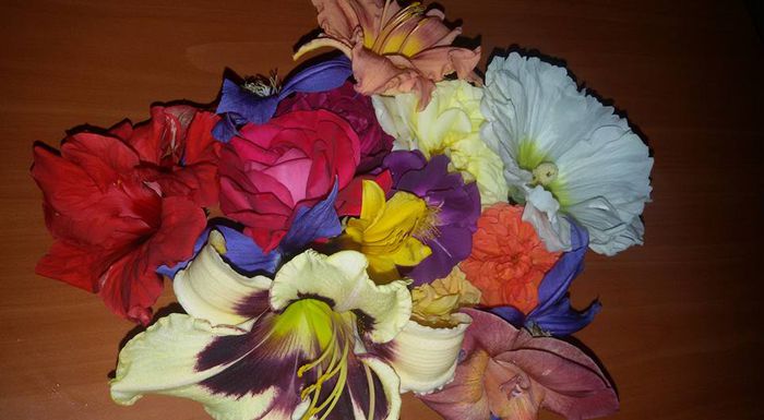 11665509_1029523330421334_6017443383650448442_n