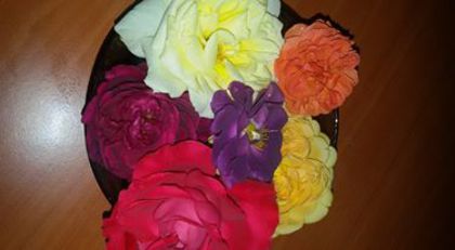 11692657_1029523403754660_9127143568473813634_n