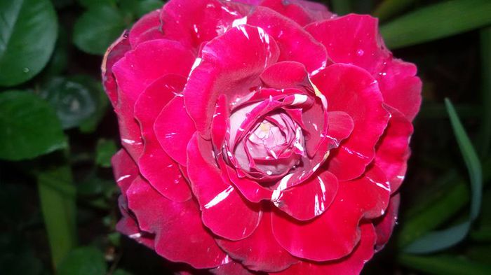 11694878_1034922636548070_4866735467241634932_n