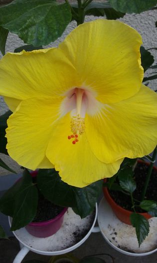 20150809_181235