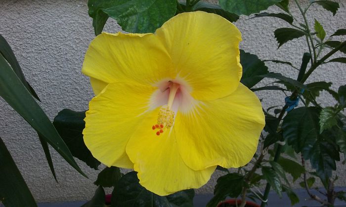 20150809_181243