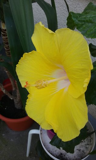 20150809_181321
