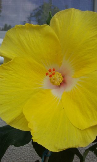 20150809_181340