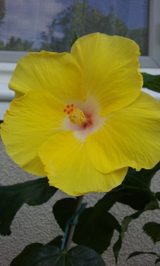 20150809_181343
