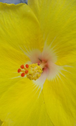 20150809_181349