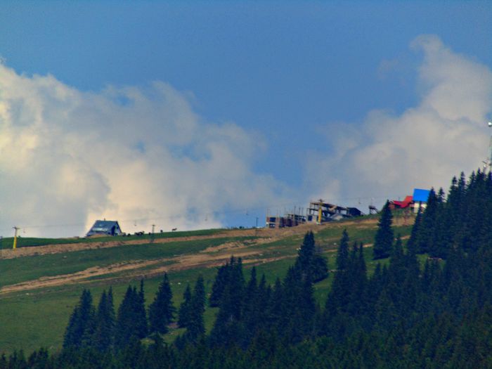 DSC08296