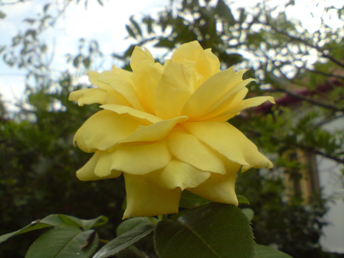 DSC00766
