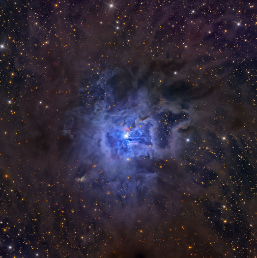 NGC7023Walker900 - Colindand prin univers II