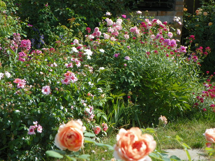 10 aug 077