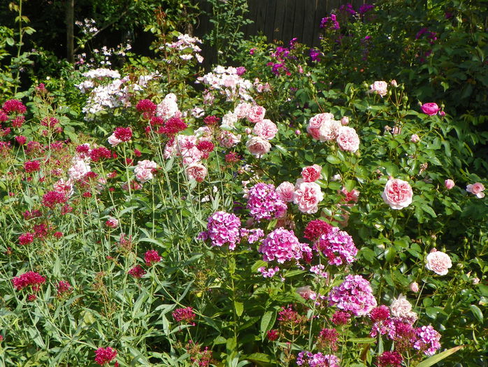 10 aug 089