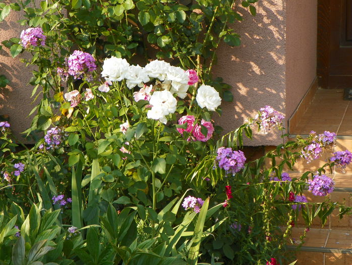11 aug 050