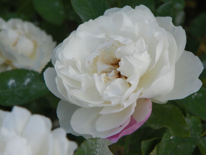 Winchester Cathedral