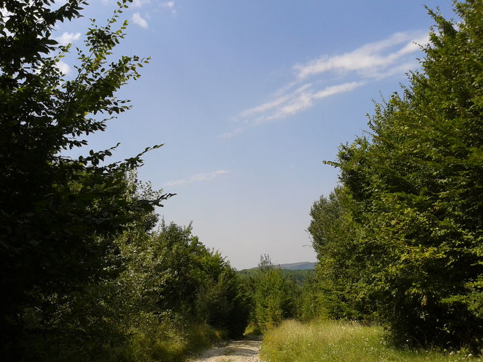 Fotografie0274 - AAA_VARA 2015