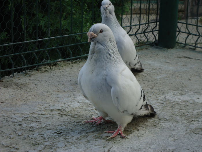 M-2011-10&F-2012-21691