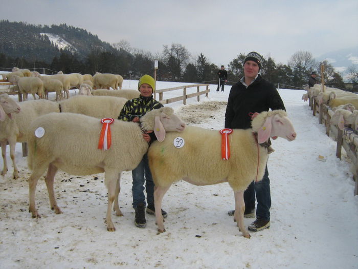 Castigatoare si frumoase - Rase de oi si capre -Poze deosebite-8