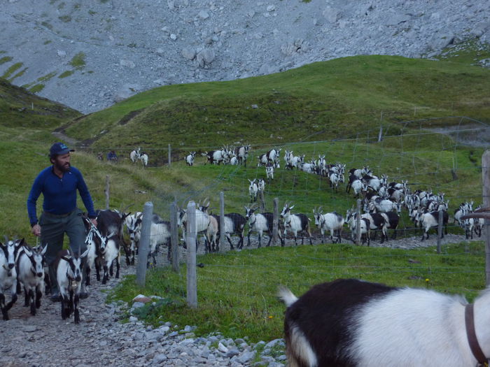 Fara cuvinte ce sa mai zicem-434