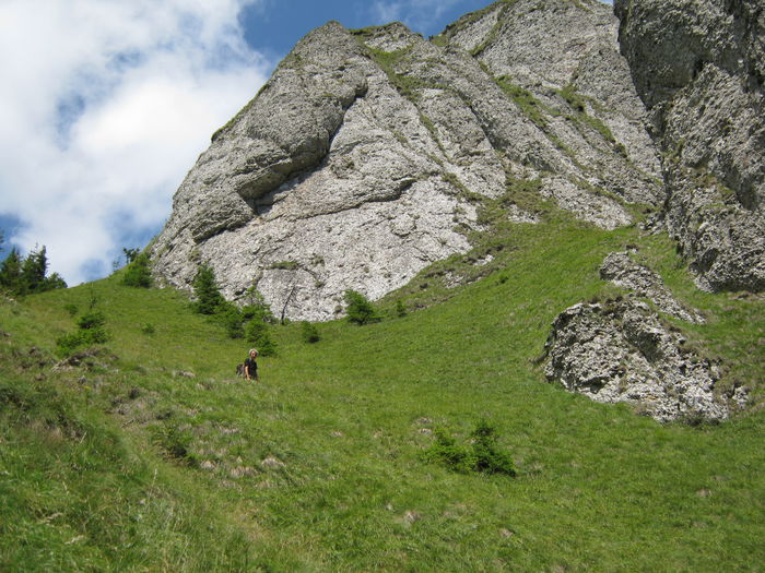 IMG_0525