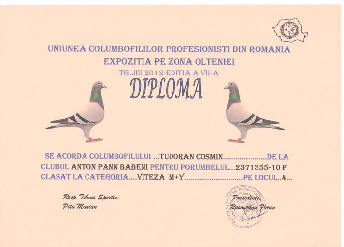 DIPLOMA 1