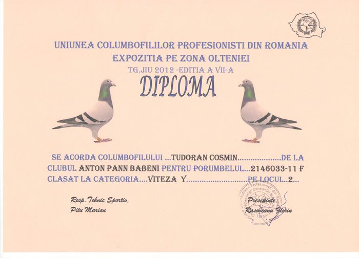 DIPLOMA 2 - REZULTATE 2012