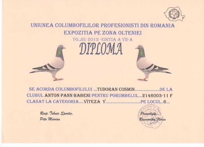 DIPLOMA 4 - REZULTATE 2012