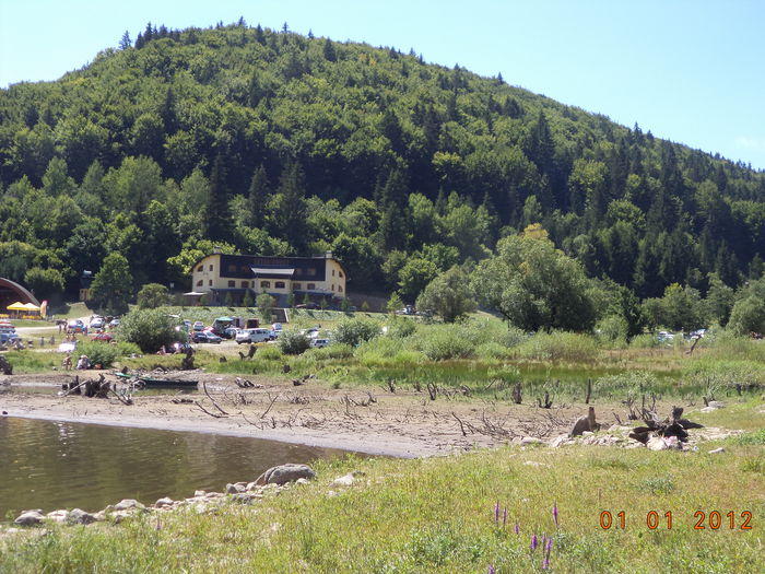 Padure de foioase si molid