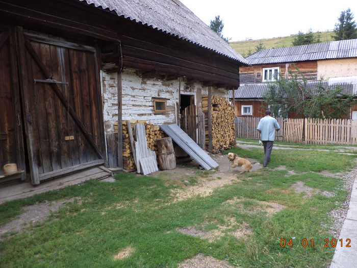 Grajdul lui Petrica-1